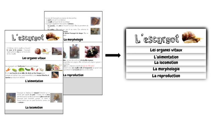 Un flip-book sur l’escargot
